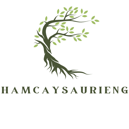 chamcaysaurieng.com